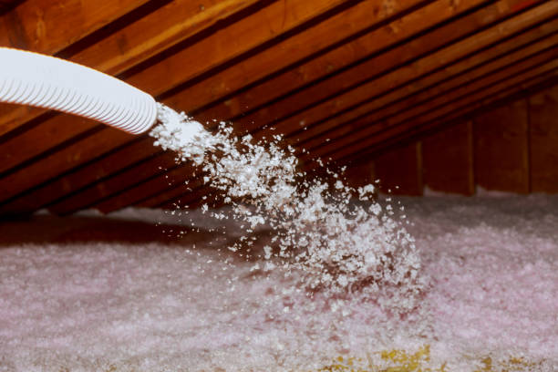 Best Home Insulation Services  in Danielson, CT