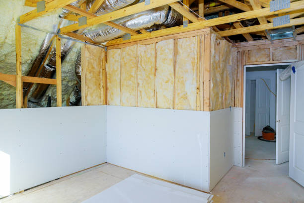 Best Home Insulation Services  in Danielson, CT