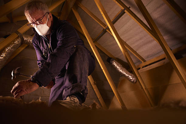 Best Fiberglass Insulation  in Danielson, CT